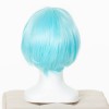 初音ミク　2019雪ミク風ウィッグ