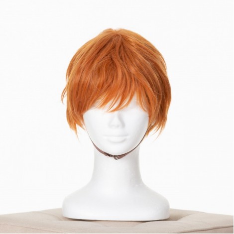 ヒプノシスマイク　毒島メイソン理鶯 風ウィッグ ヒプマイ