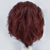 鬼滅の刃竈門炭治郎風　ウィッグ